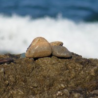 SONY DSC